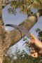 Afbeelding - https-www-ez-catalog-nl-Asset-0bcb5e6028904ad089a454cf926a5cea-ImageFullSize-4211-4212-appl-jpg